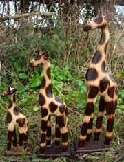 Fairtrade Set Of 3 Natural Wooden Giraffe Statues